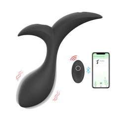 Litein Life Anal Toy Vibrator with App and Remo Control