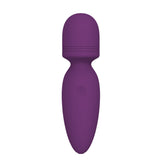 Litein Life Handheld Vibrator, Purple