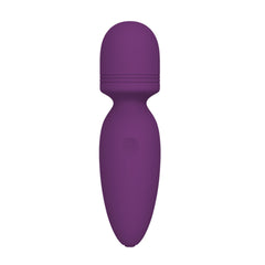 Litein Life Handheld Vibrator, Purple